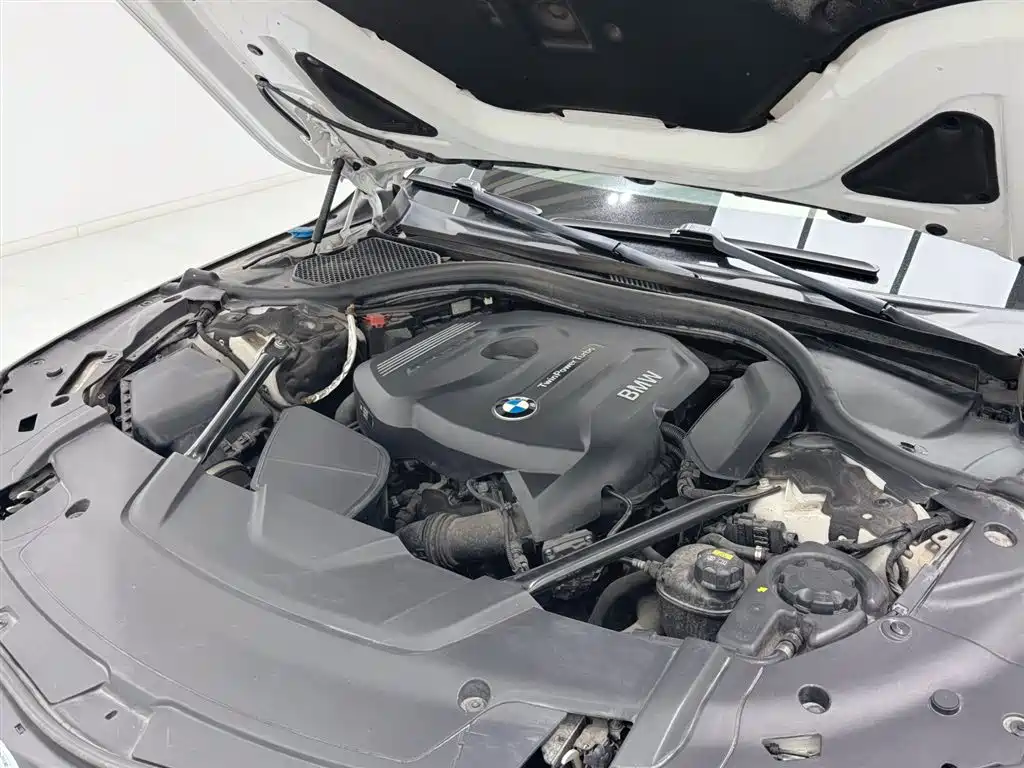 BMW 7 Series 2018 730Li Leading Type M Sport Package фото 17