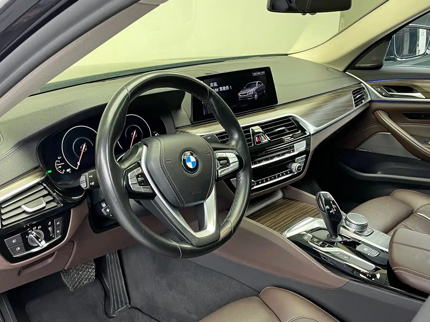 BMW 5 Series New Energy 2019 530Le Pioneer Edition фото 8