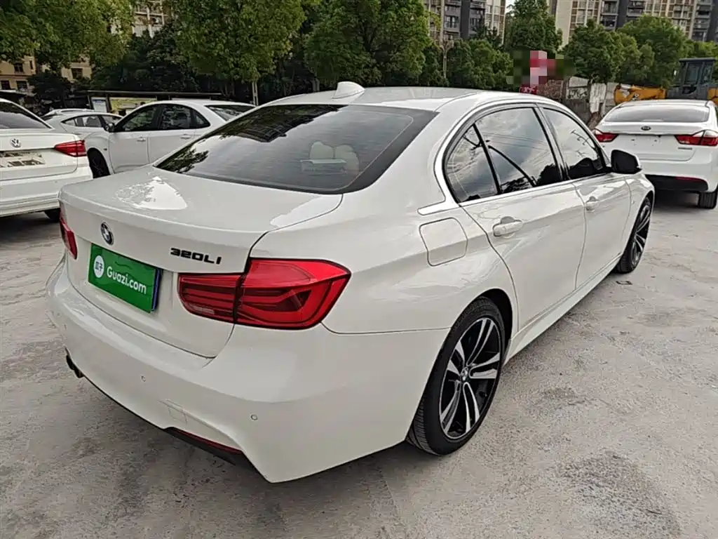 BMW 3 Series 2019 320Li M Luxury Package фото 7