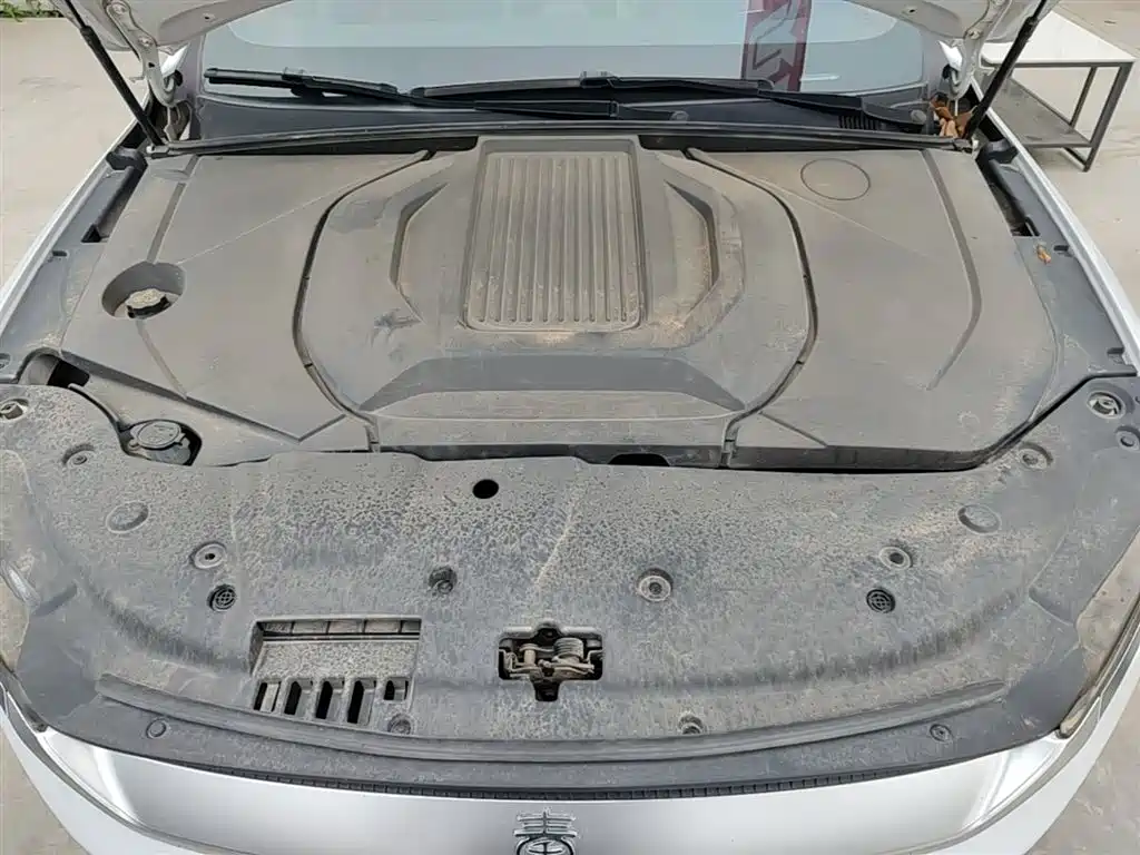 BYD Qin PLUS 2021 EV 500KM Luxury Model фото 20