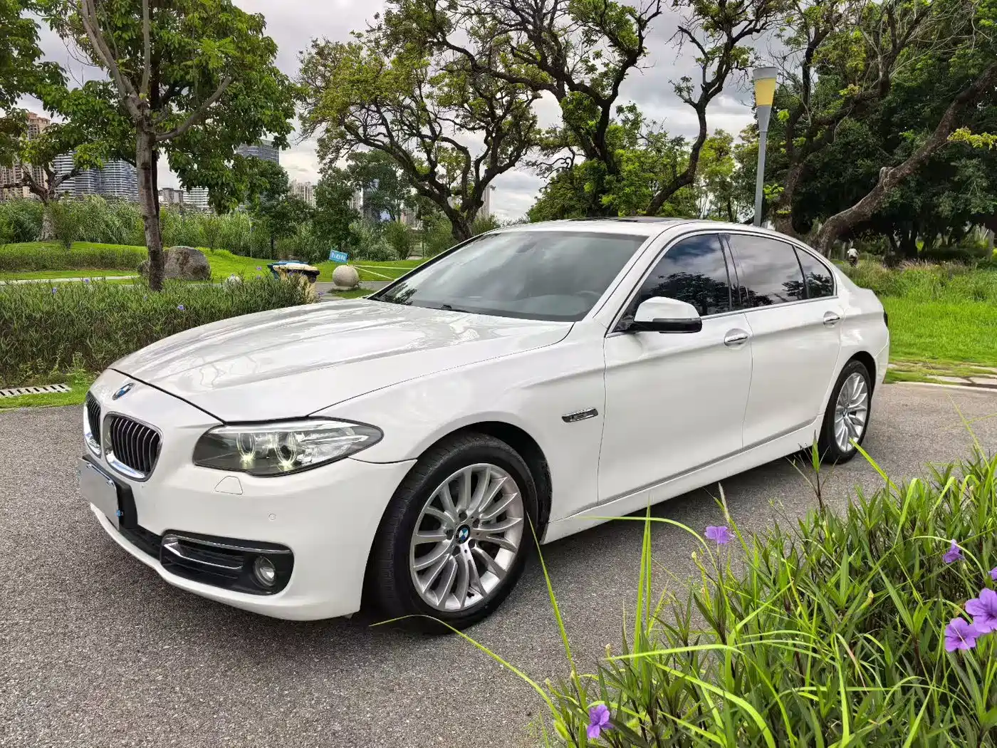 BMW 5 Series 2014 525Li Luxury Design Package фото 3