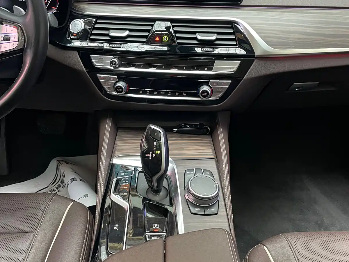 BMW 5 Series 2021 Facelift 530Li Leading Luxury Package фото 14