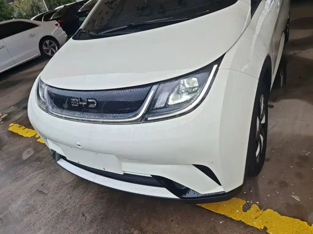 Фото 24 - BYD Dolphin