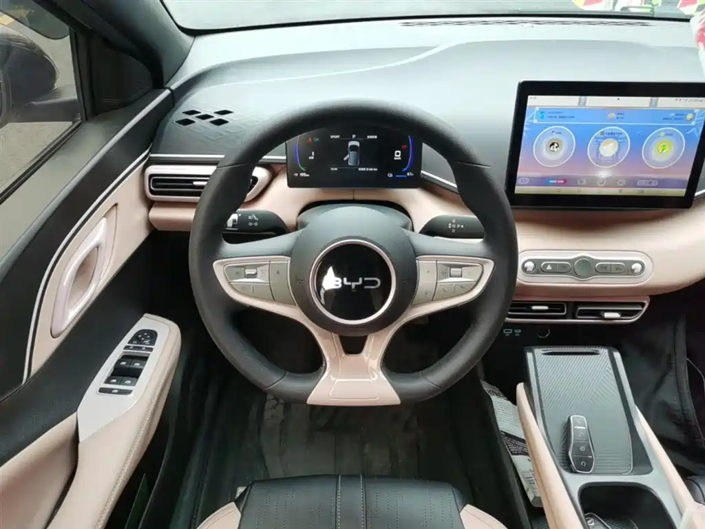 BYD Seagull 2025 Smart Drive Edition 305km Vitality Version фото 11