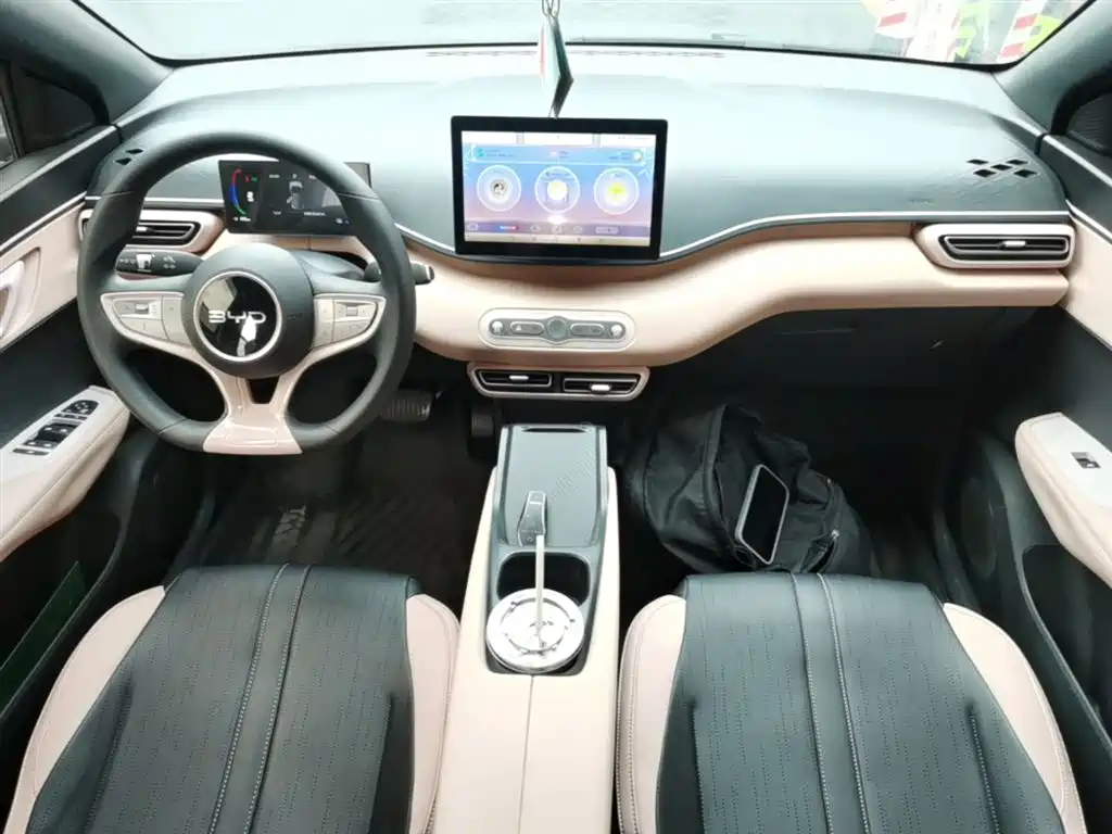 BYD Seagull 2025 Smart Drive Edition 305km Vitality Version фото 10