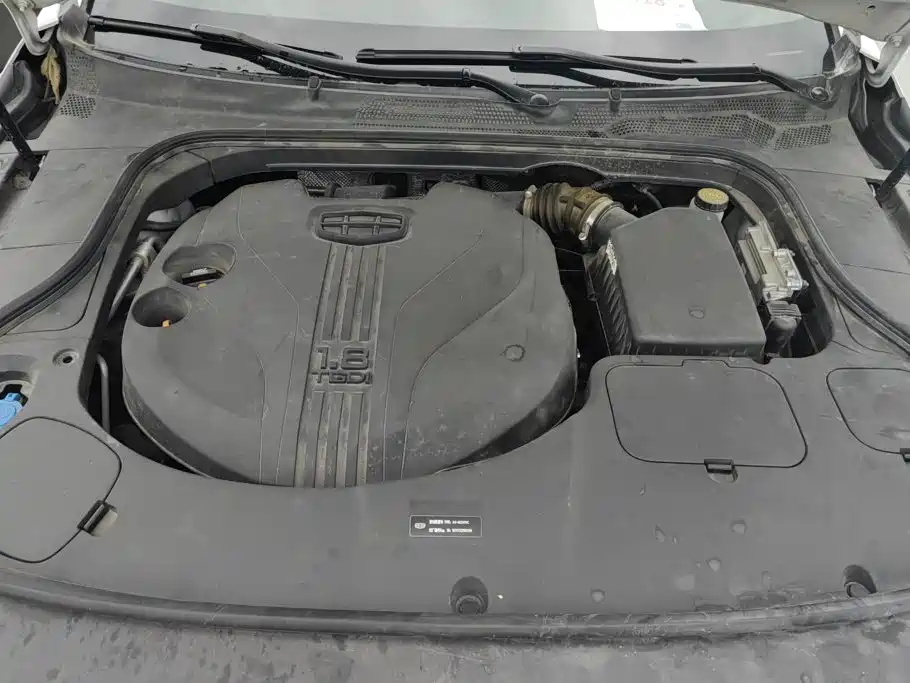 Geely Borui 2021 2021 1.8T Pilot Edition+