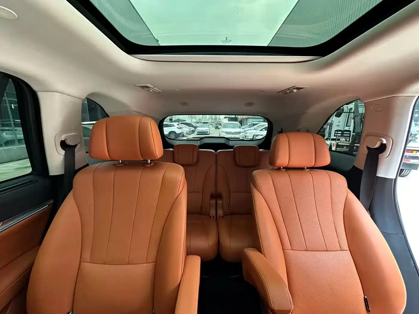 WEI PAI WEI BRAND BLUE MOUNTAIN