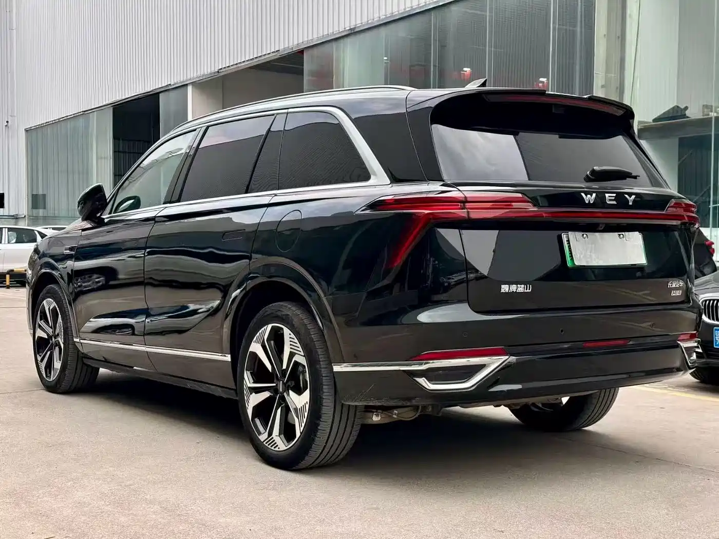 WEI PAI WEI BRAND BLUE MOUNTAIN