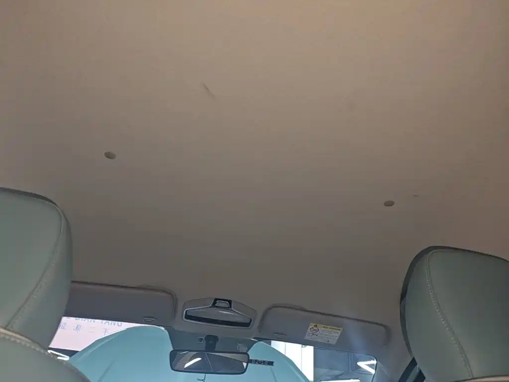 Geely Geometry E Firefly 2024 2024 Model 301km Starlight