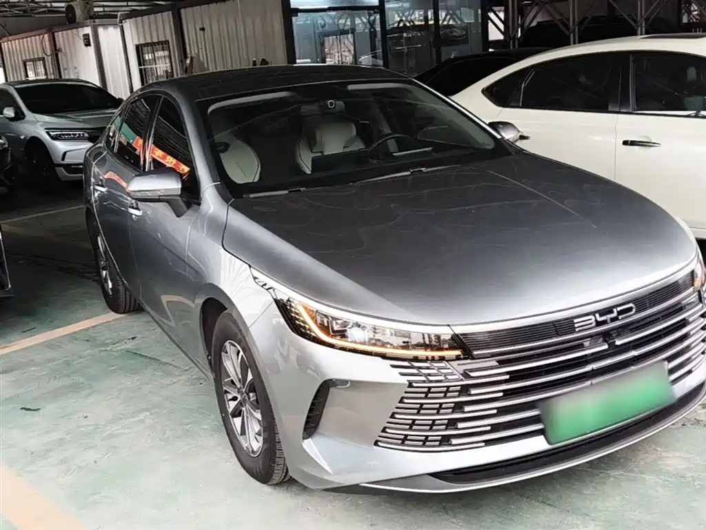 BYD Destroyer 05 2024 Glory Edition DM-i 55KM Luxury фото 4