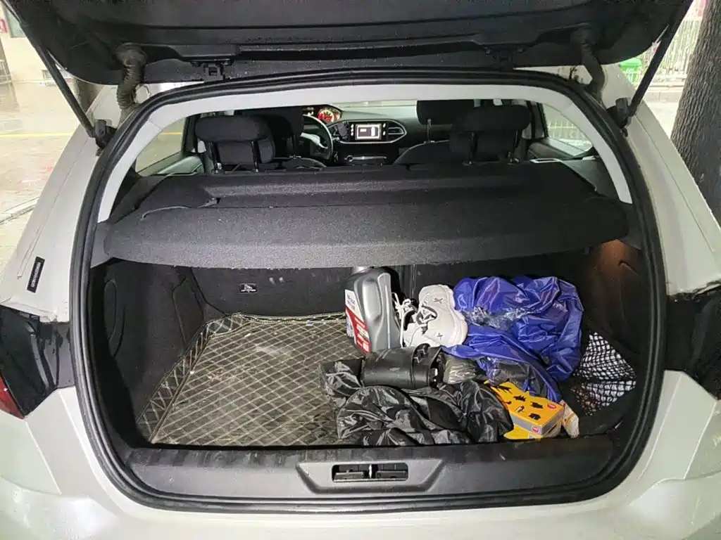 2016 Peugeot 308S