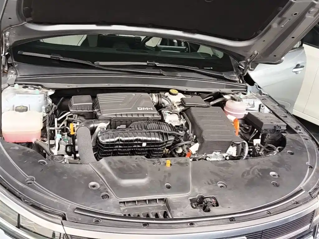 BYD Destroyer 05 2024 Glory Edition DM-i 55KM Luxury фото 20