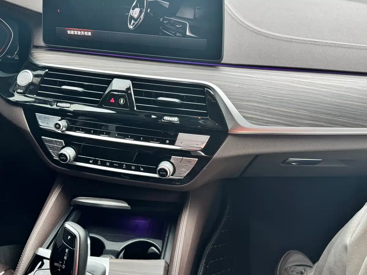 BMW 5 Series 2022 530Li Leading Luxury Package фото 10