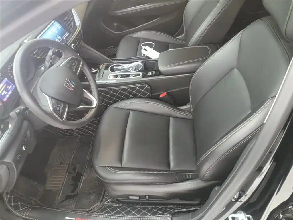 Buick Regal 2024 25T Ultra Comfort Edition фото 15