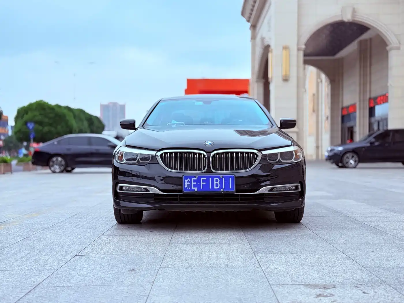 BMW 5 Series 2018 530Li Leading Luxury Package фото 2