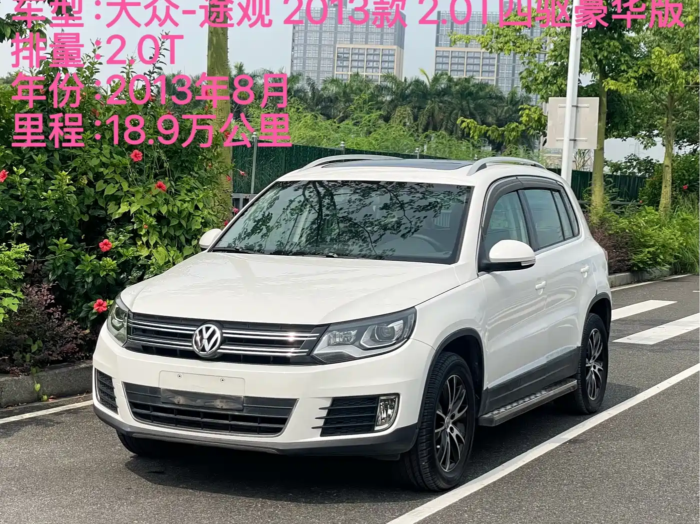 Фото 2 - Volkswagen Tiguan