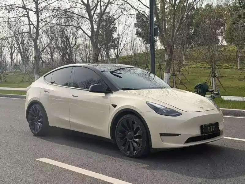 Фото 3 - Tesla Model Y