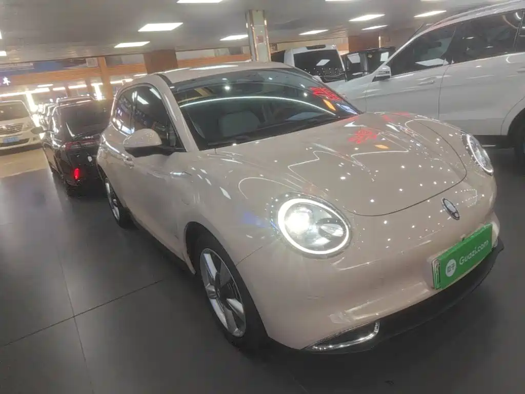 Ora Good Cat 2024 2023 401km Standard Range Luxury LFP