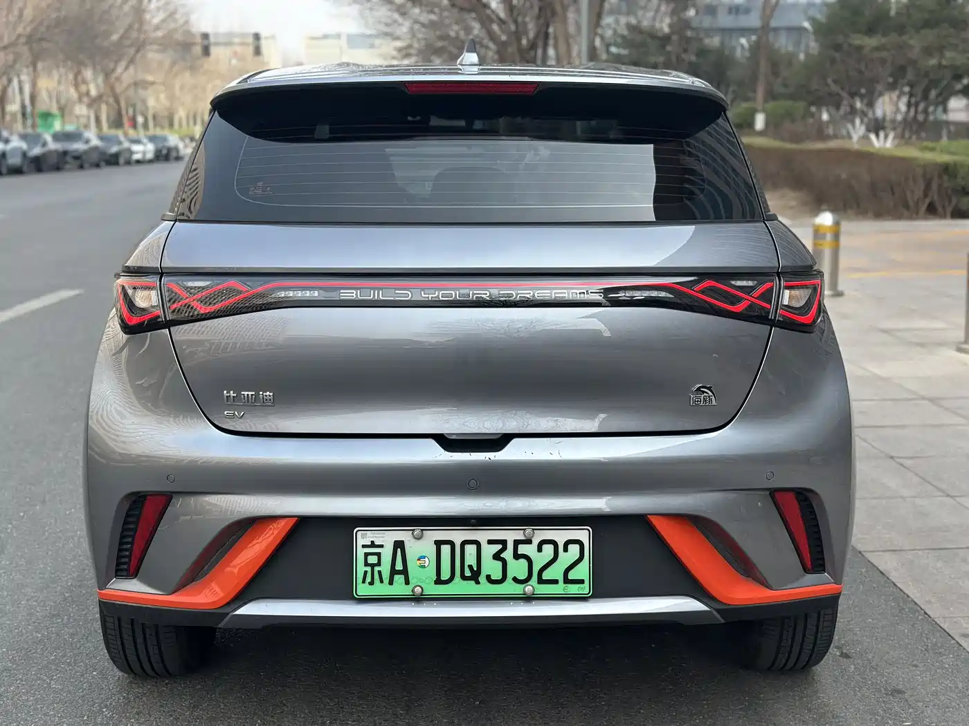 BYD DOLPHIN