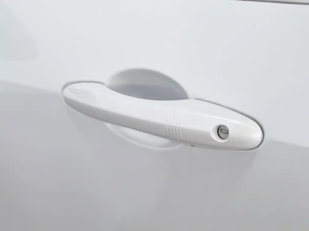 WEY P8 2018 2018 2.0T Flagship Model