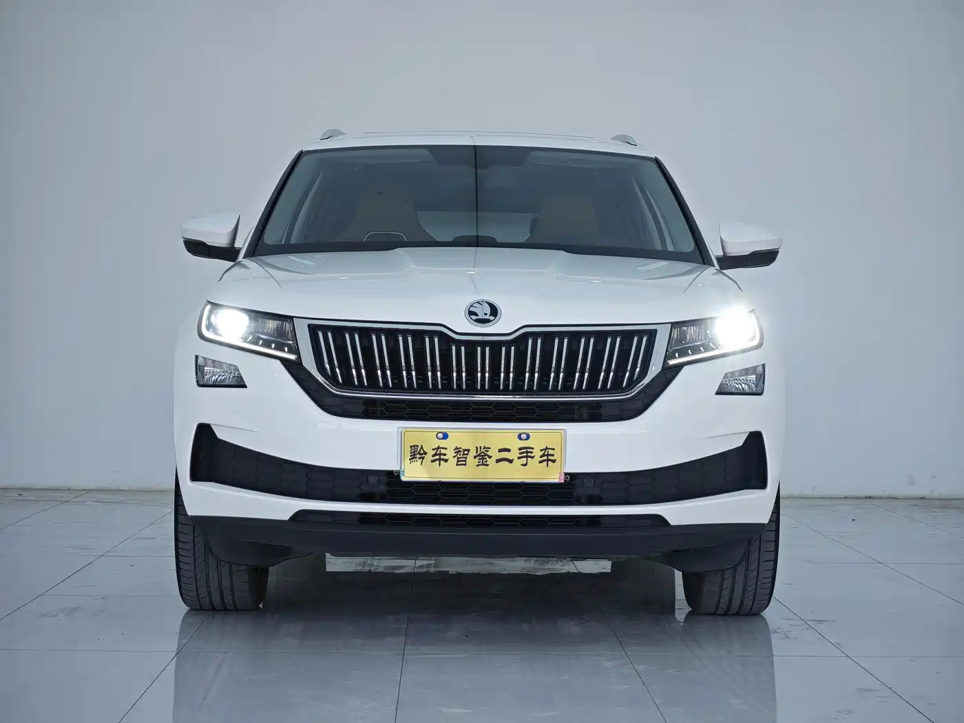 Škoda Kodiaq GT 2019 TSI330 2WD Luxury Edition China VI фото 2