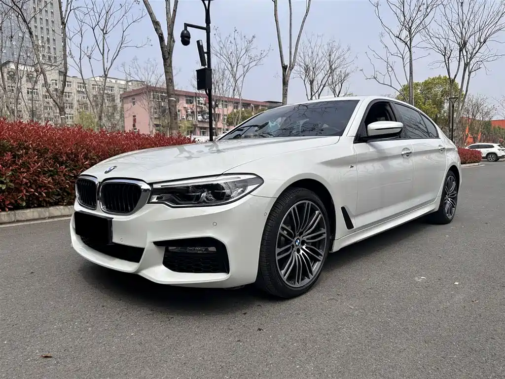 BMW 5 Series 2018 530Li Premium M Sport Package