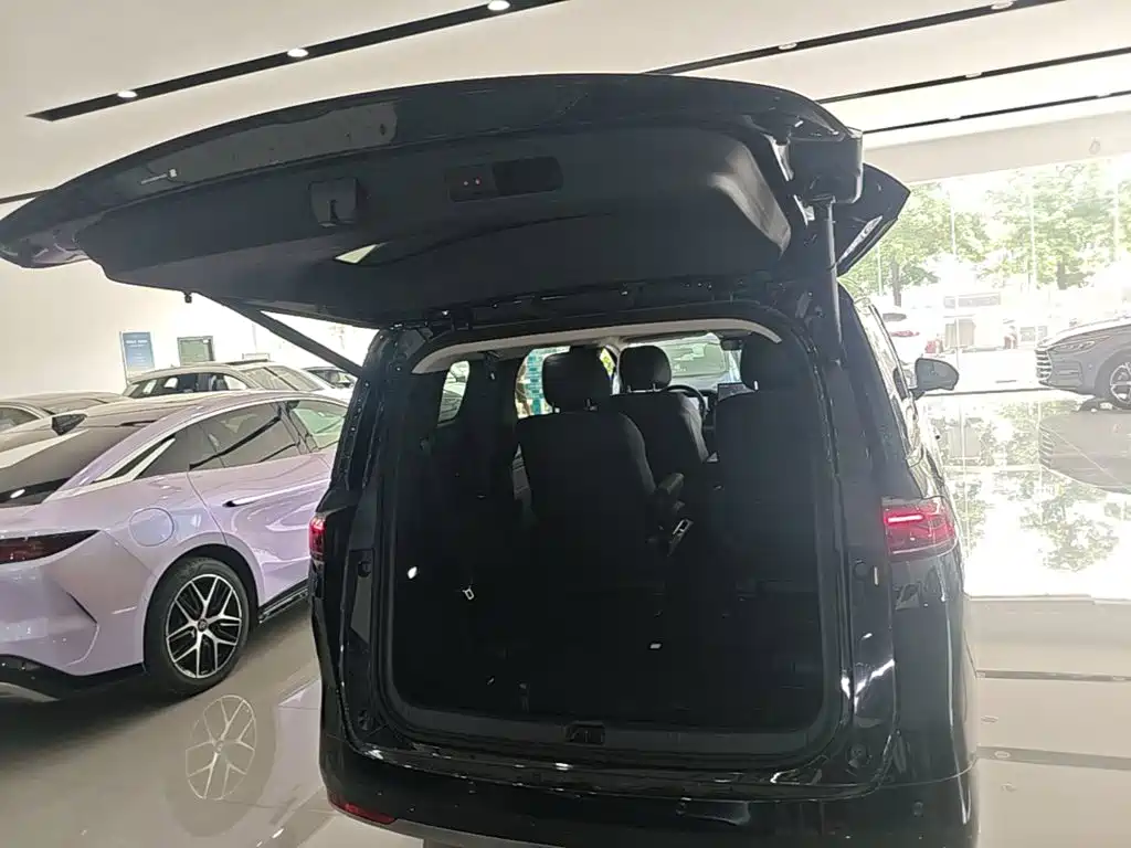 BYD M9 2025 2025 Model 1060 Pilot Edition