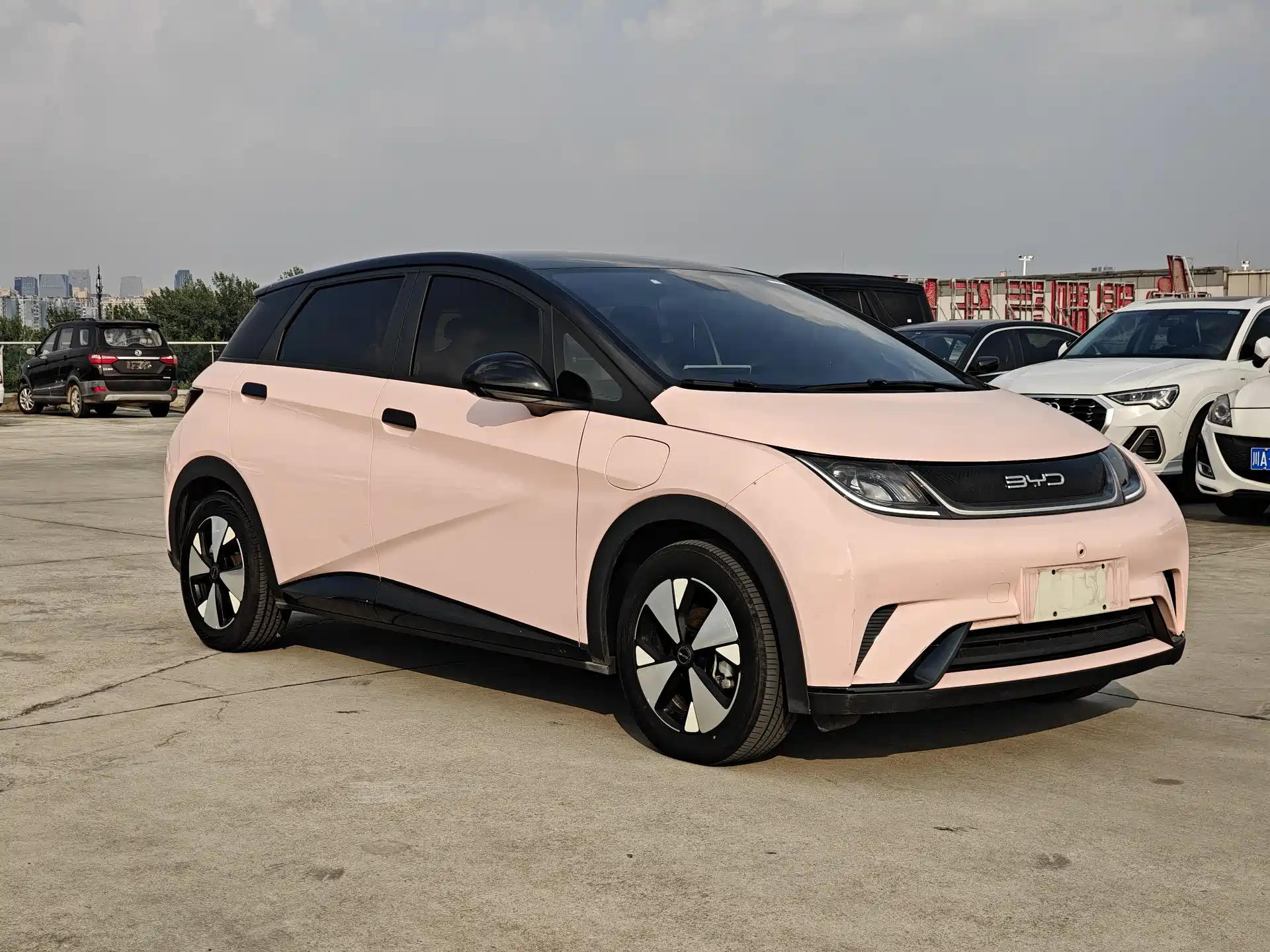 Фото 2 - BYD Dolphin