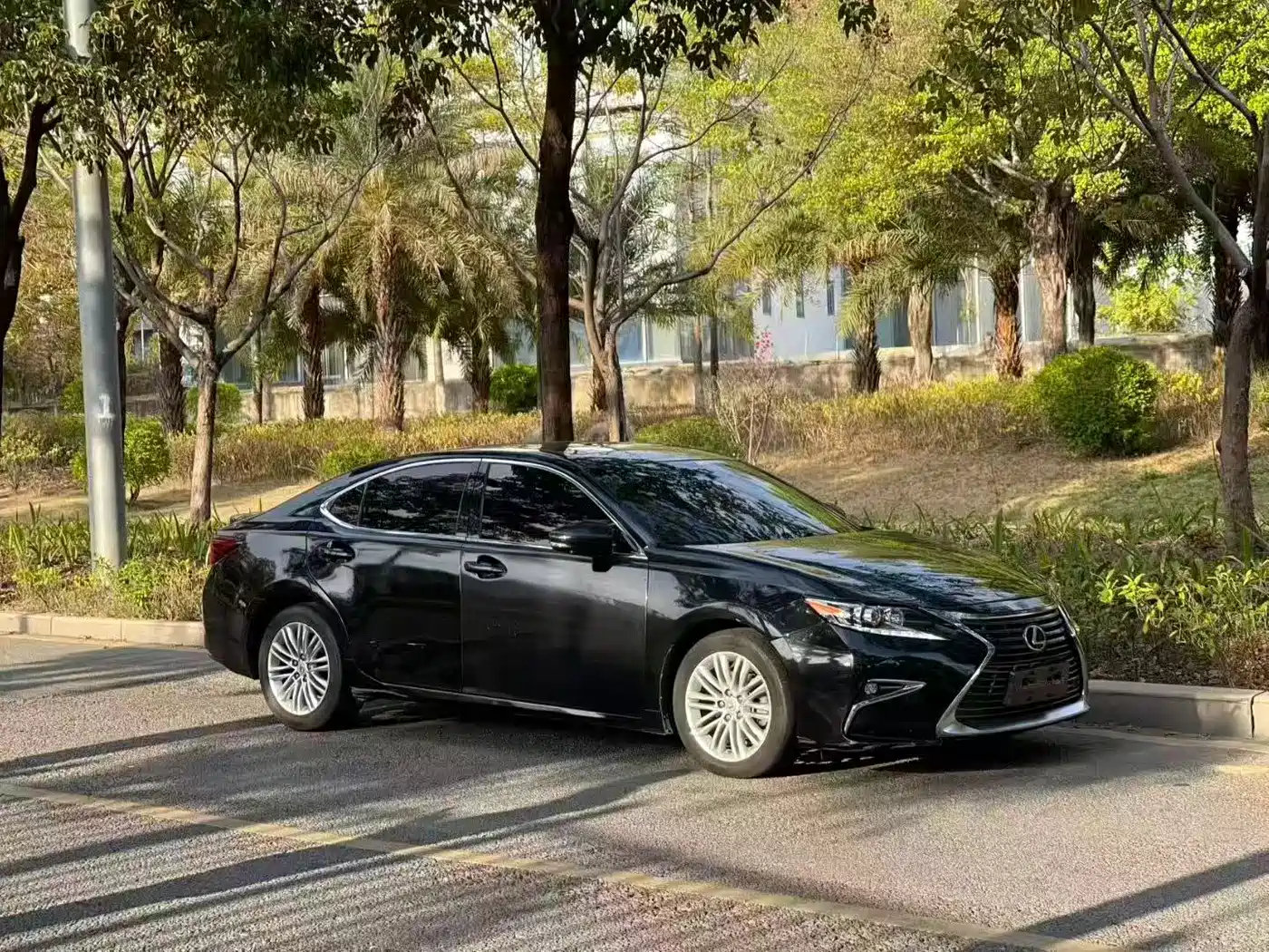 Lexus ES 2015 200 Elite Edition фото 3
