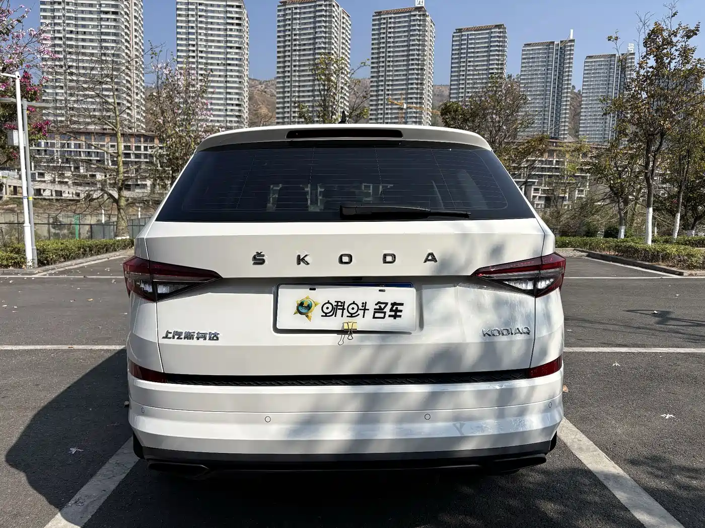 Škoda Kodiaq 2025 TSI330 5-Seater FWD Capability Edition фото 5