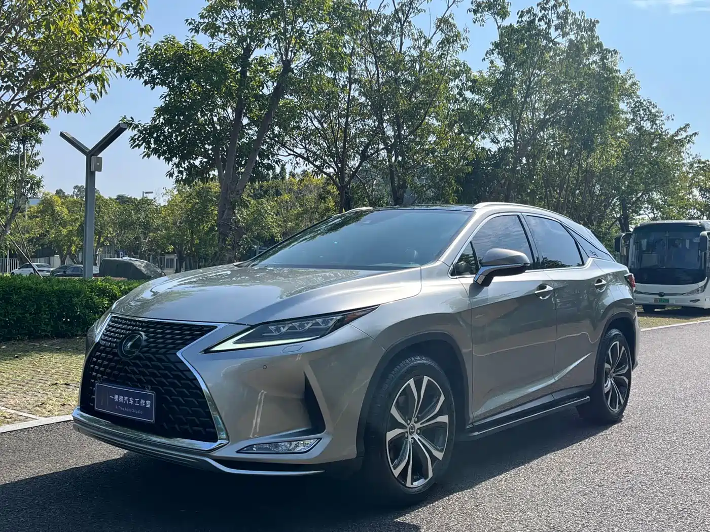 LEXUS RX