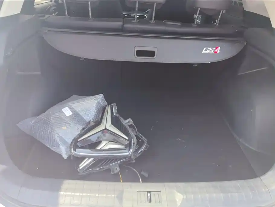 GAC Trumpchi Trumpchi GS4 2020 270T Automatic Elite Tech Version фото 4