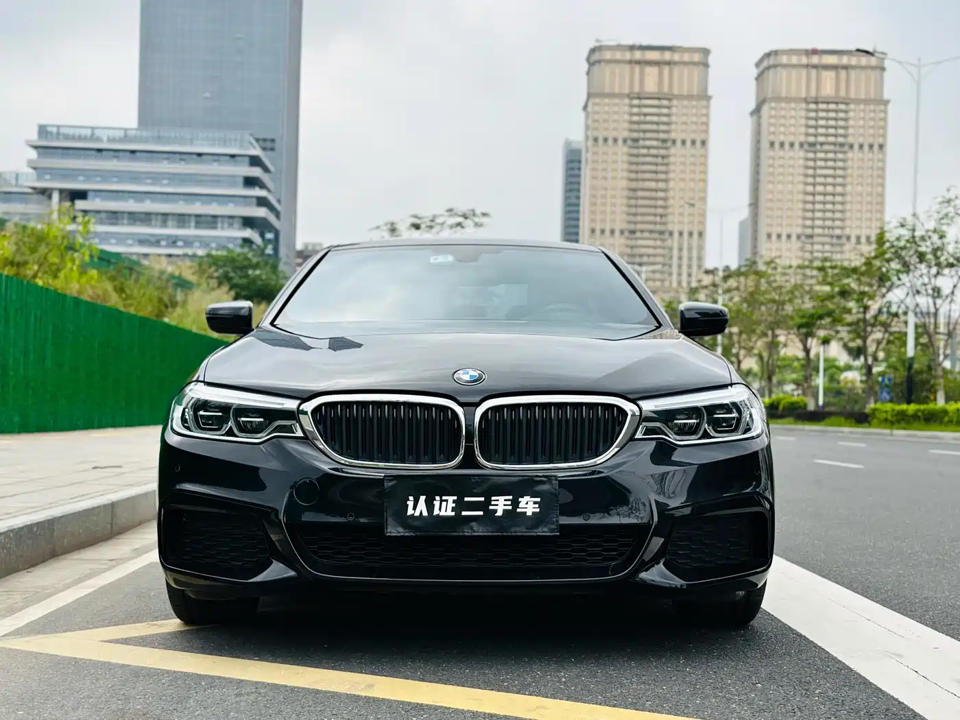 BMW 5 Series 2020 530Li Leading M Sport Package фото 2