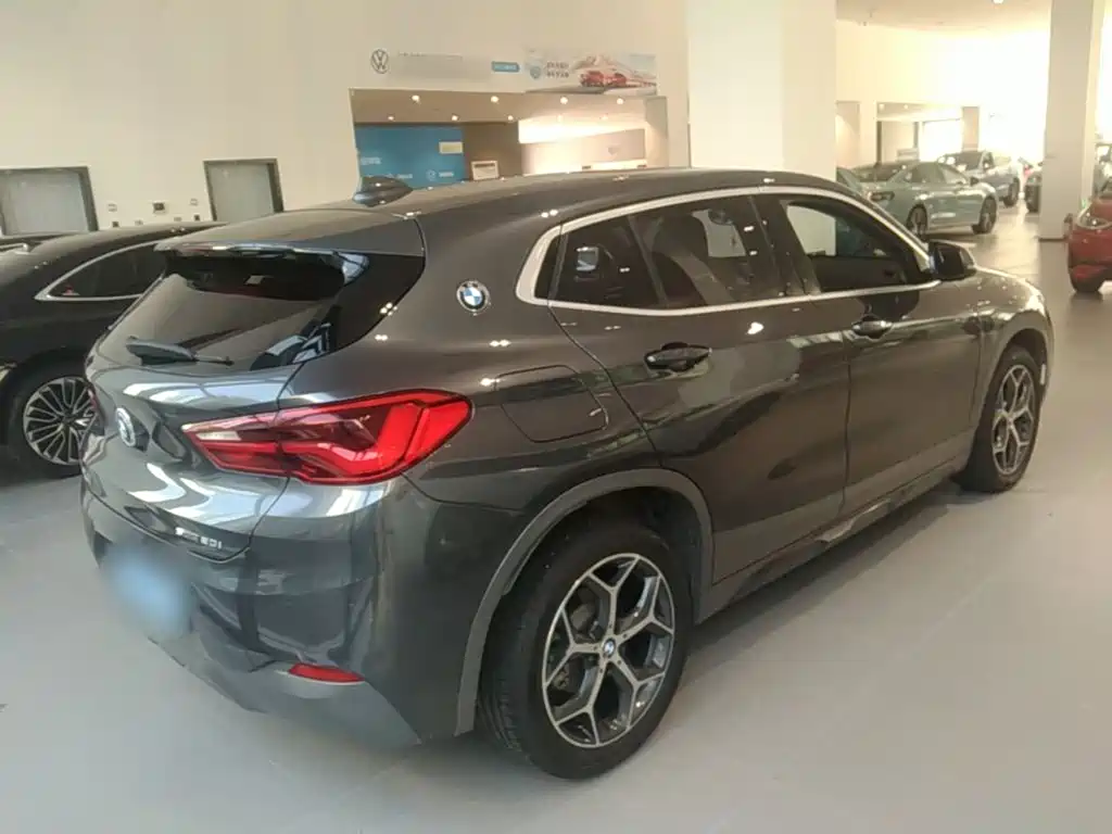 BMW X2 (Import) 2019 2019 sDrive20i M Off-Road Package China VI