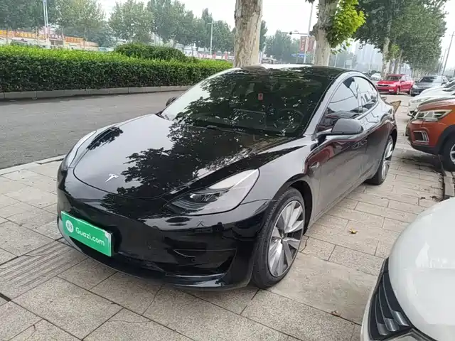 Tesla Model 3 Задний привод