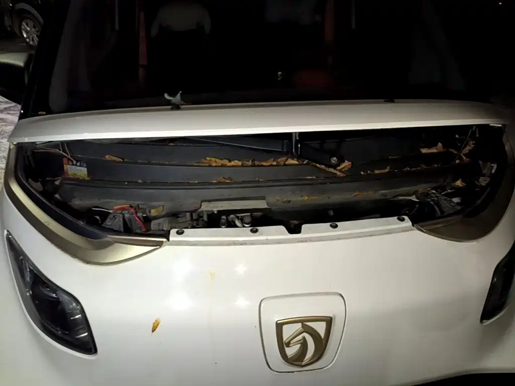 Baojun E200 2020 2019 250KM Smart Enjoy Edition