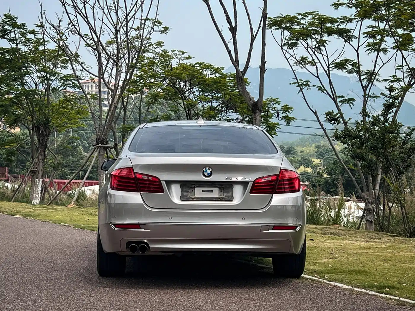 BMW 5 Series 2014 525Li Luxury Design Package фото 8