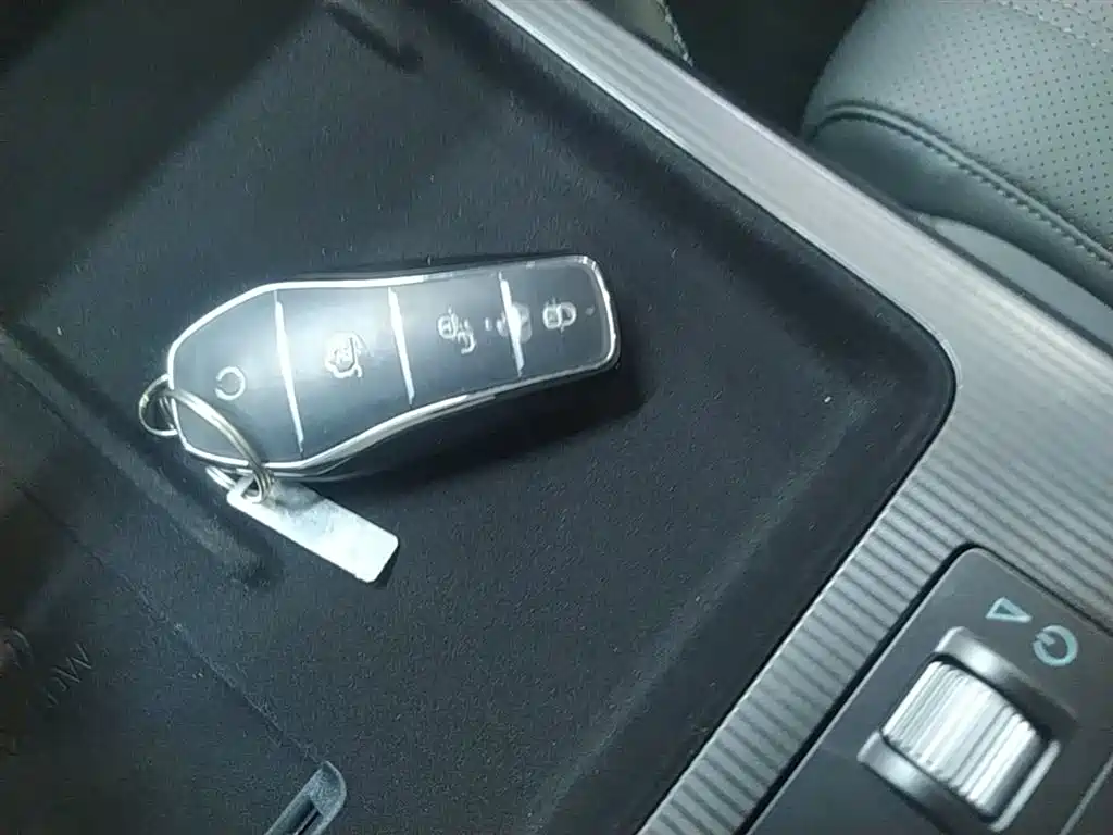 BYD Song L DM-i 2025 Smart Drive 160km Premium фото 9