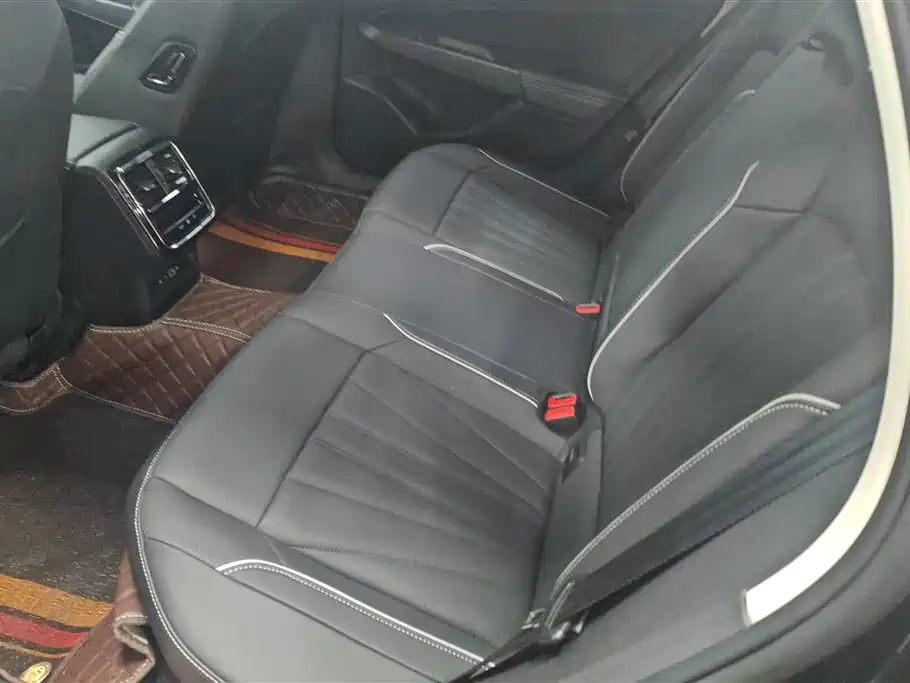 Volkswagen Passat 2024 330TSI Starlight Elite Edition фото 11