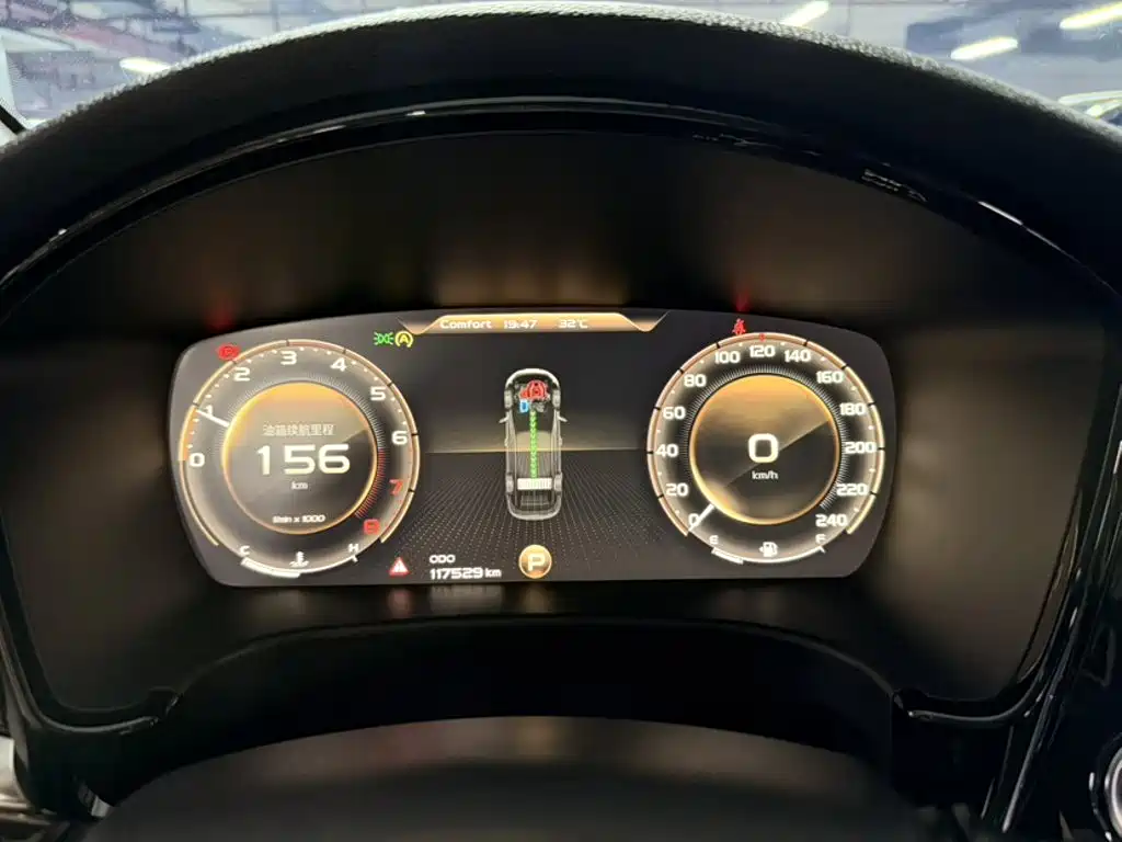 Фото 6 - Geely Borui