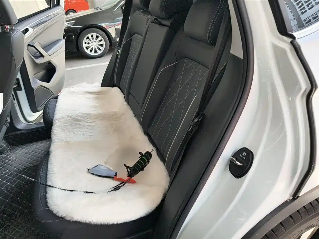 Volkswagen Tiguan L 2025 Model 300TSI Auto 2WD Dragon Edition фото 18