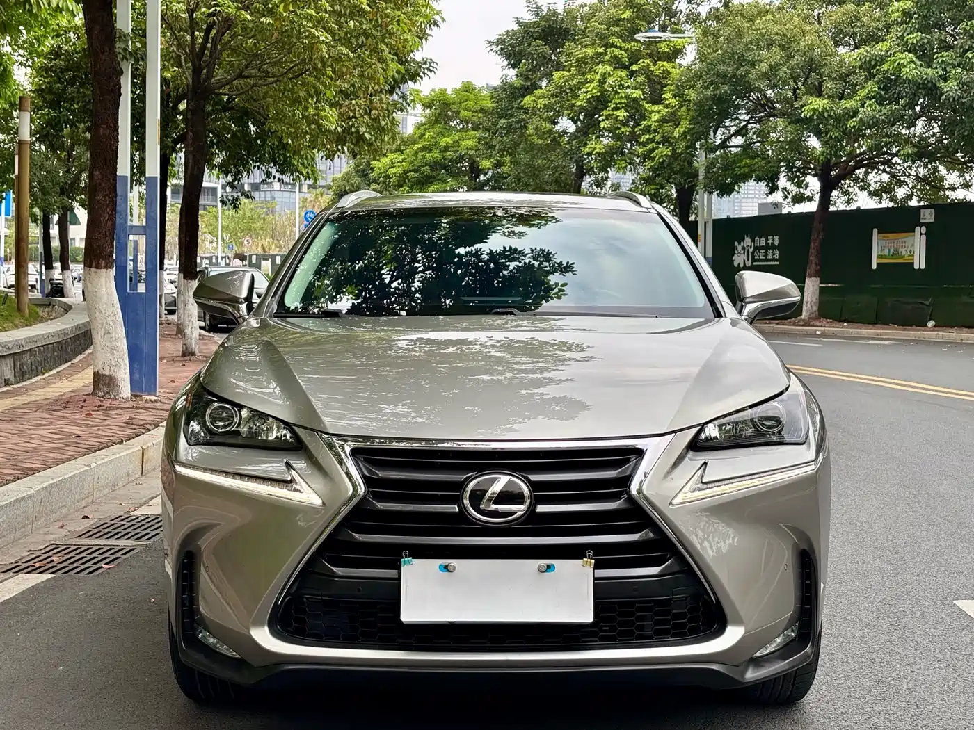 Lexus NX 2015 200t AWD F Sport фото 3