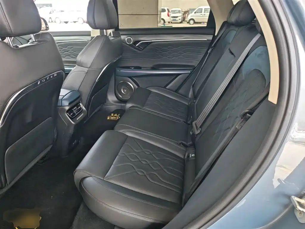 Voyah Auto VOYAH FREE 2021 AWD Standard Range Extender Exclusive Luxury Package фото 17
