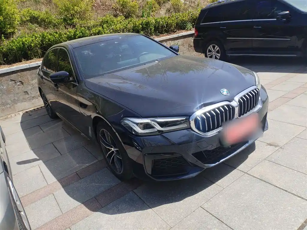 BMW 5 Series New Energy 2021 535Le M Sport Package фото 22