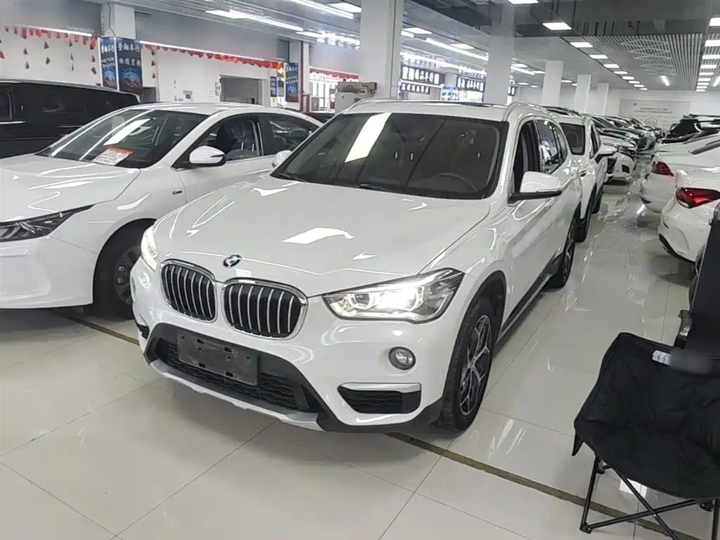 BMW X1 2019 xDrive20Li Premium Model