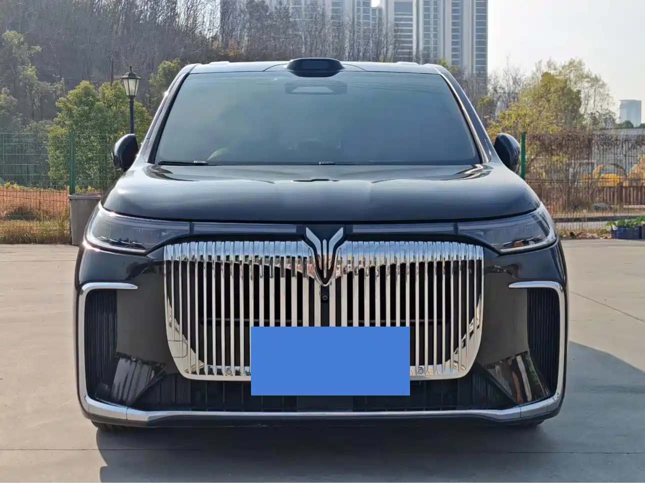 Voyah Auto Voyah Dreamer