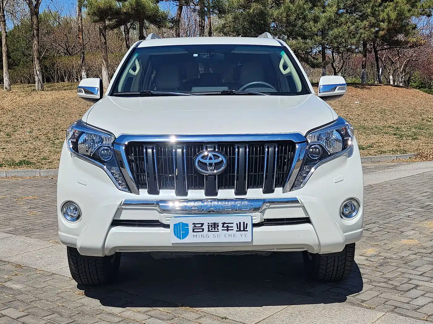 Toyota Prado (Import) фото 2