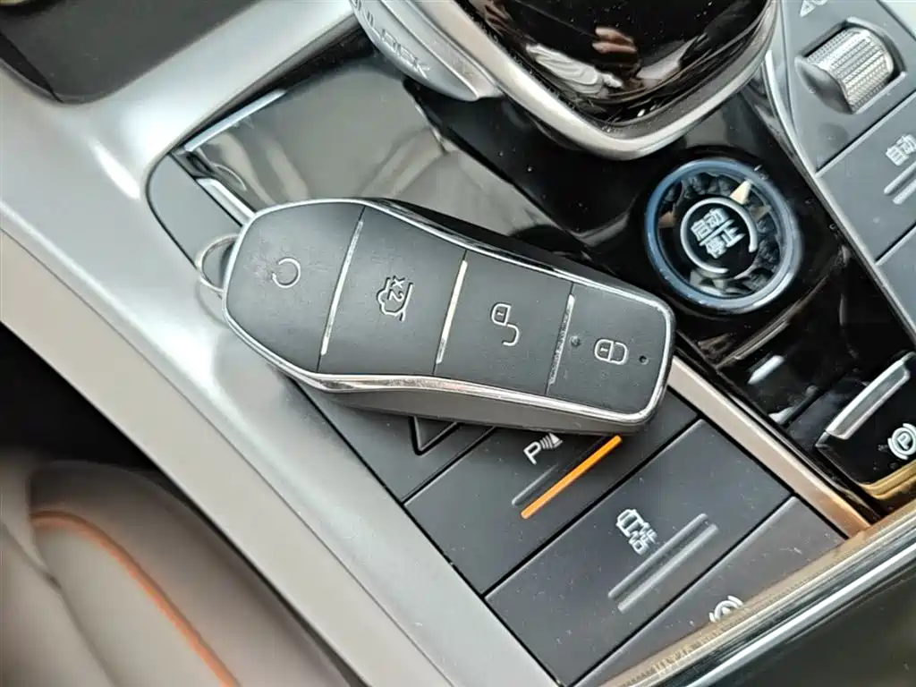 BYD Song Pro New Energy 2024 Glory Edition DM-i 71KM Pilot фото 9