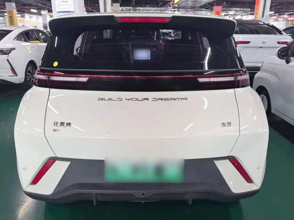 Фото 6 - BYD Seagull