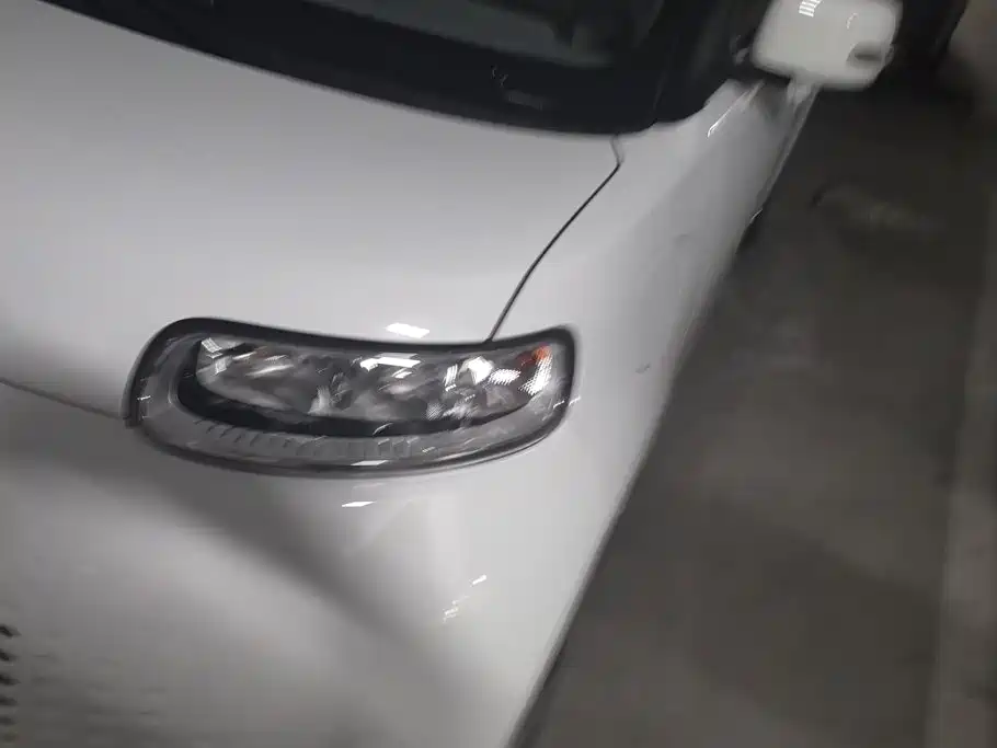 Ora White Cat 2021 2020 360km Luxury Model